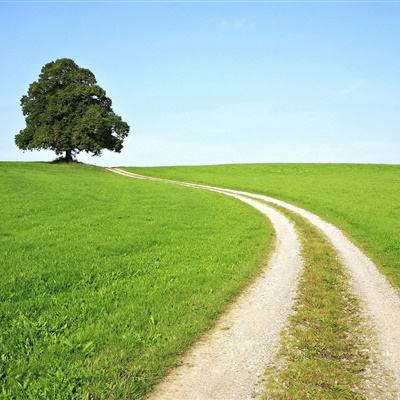 KOKapp手机app下载