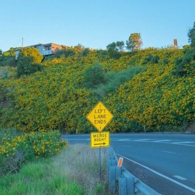 麻将胡了pg网站