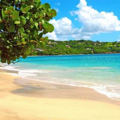 中欧体育app全站