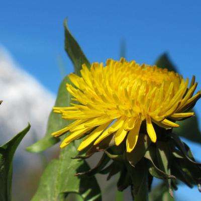 kok在线登陆官网